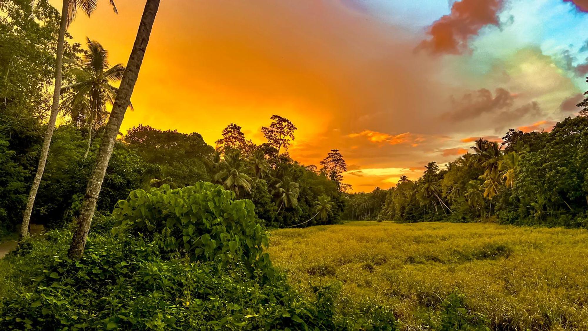 The Jungle Loft Galle Luaran gambar